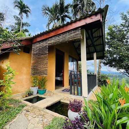 Rainforest Nature House เดนิยายา ภายนอก รูปภาพ