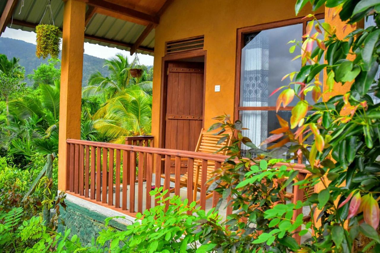 Rainforest Nature House เดนิยายา ภายนอก รูปภาพ