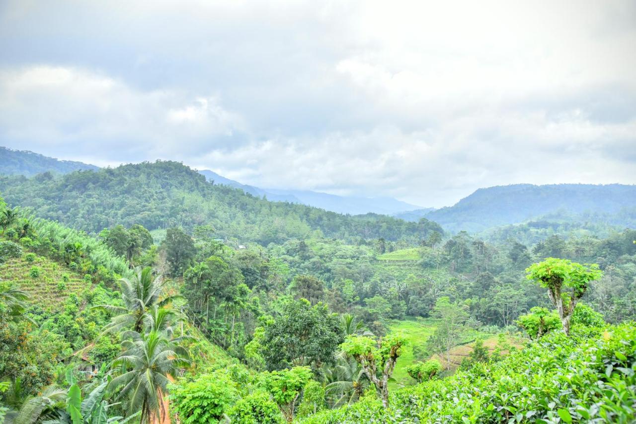 Rainforest Nature House เดนิยายา ภายนอก รูปภาพ