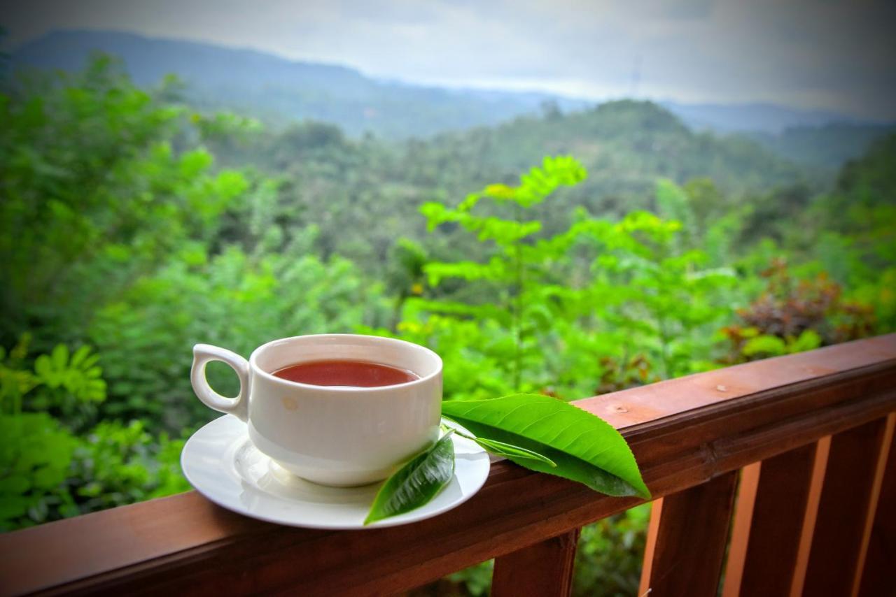 Rainforest Nature House เดนิยายา ภายนอก รูปภาพ