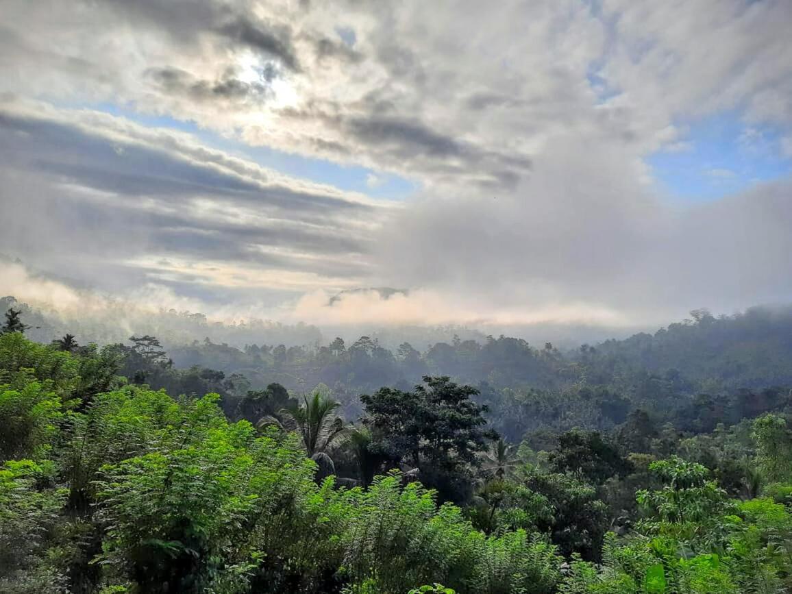 Rainforest Nature House เดนิยายา ภายนอก รูปภาพ