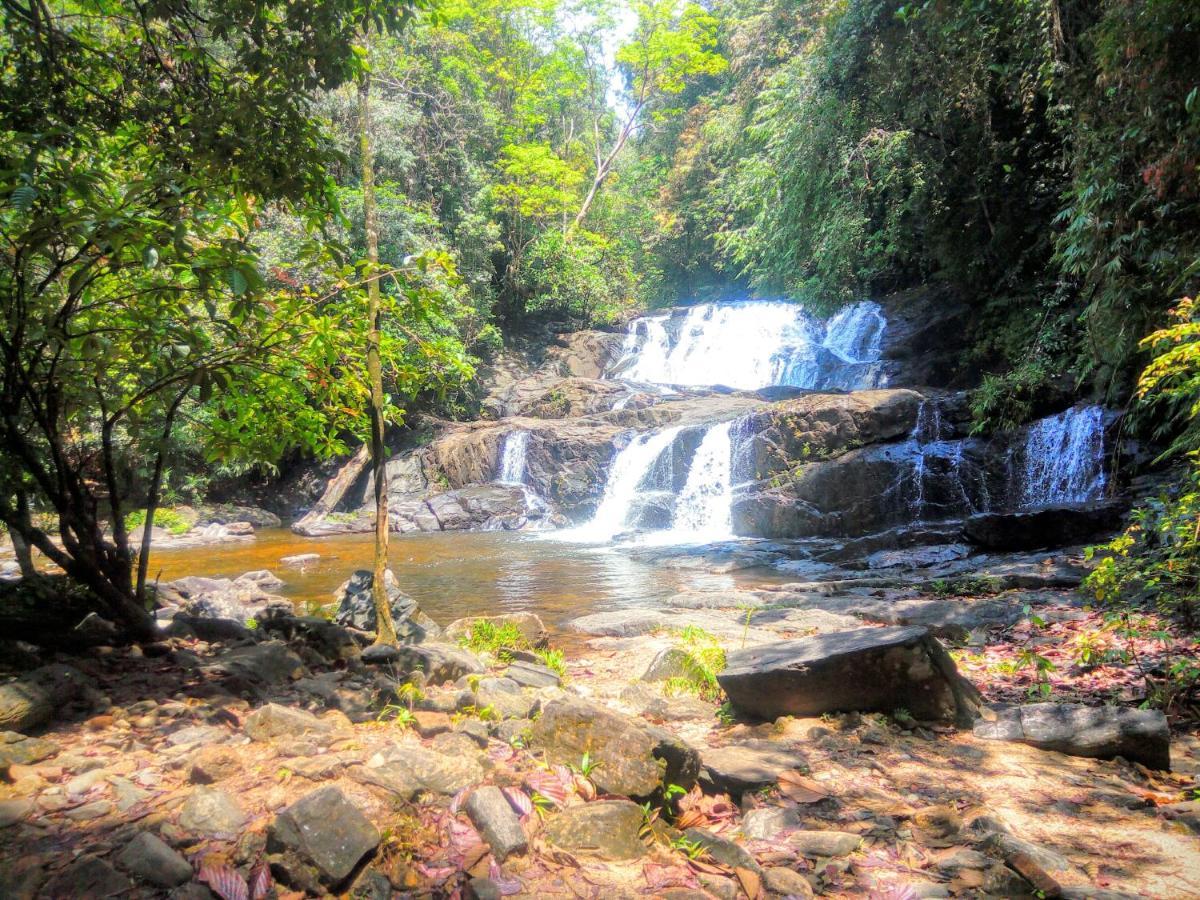 Rainforest Nature House เดนิยายา ภายนอก รูปภาพ