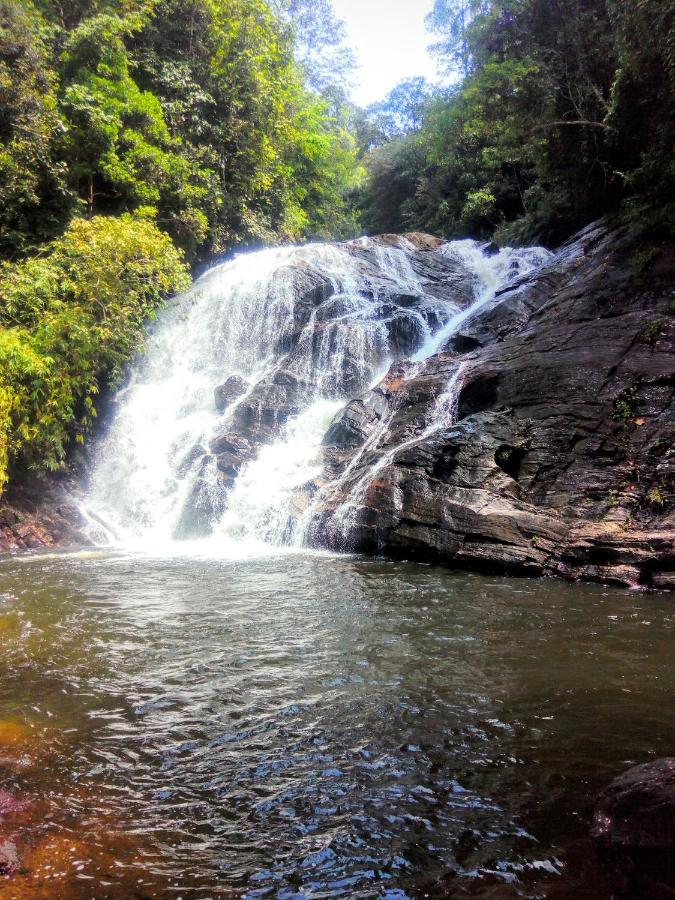 Rainforest Nature House เดนิยายา ภายนอก รูปภาพ