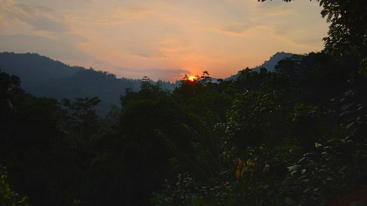 Rainforest Nature House เดนิยายา ภายนอก รูปภาพ