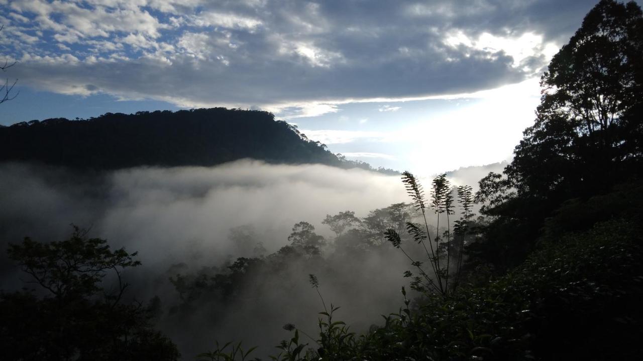 Rainforest Nature House เดนิยายา ภายนอก รูปภาพ