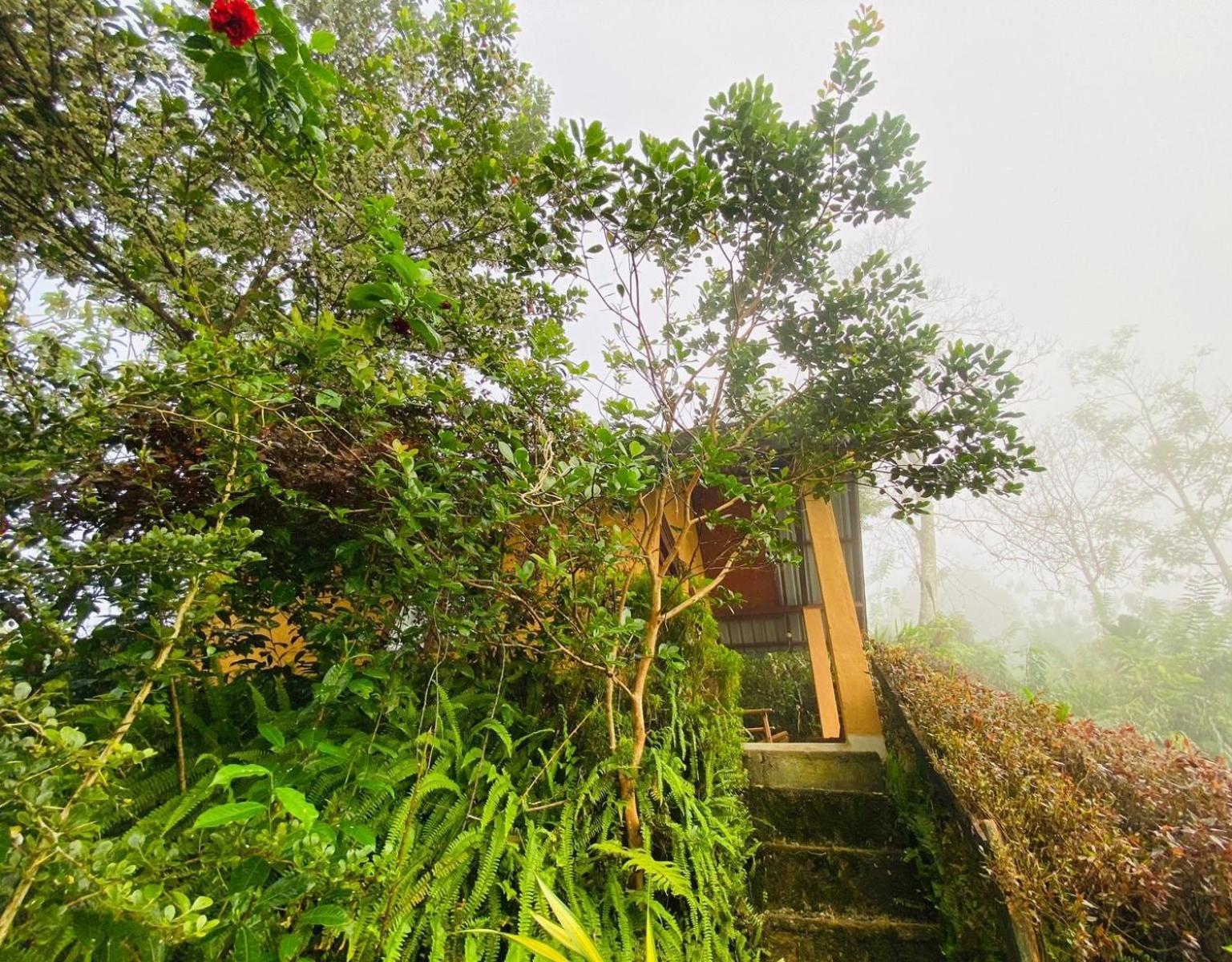 Rainforest Nature House เดนิยายา ห้อง รูปภาพ